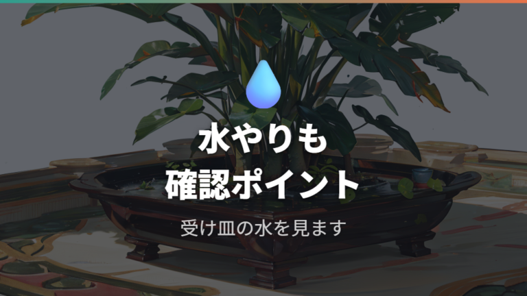 樹液が気になるときは水やりも見直す