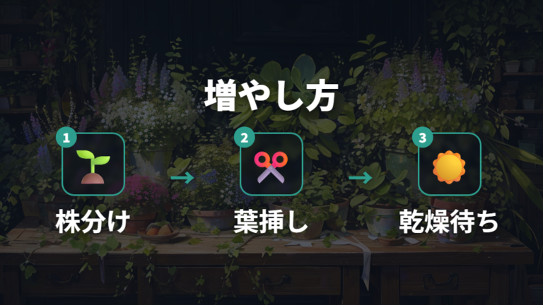 小さな苗を増やす育て方は株分けと葉挿しを使い分ける
