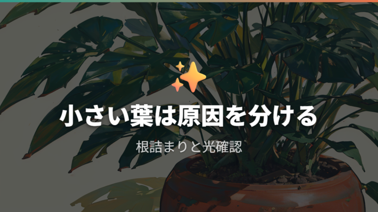新しい葉が小さくなる原因を根詰まりまで見る