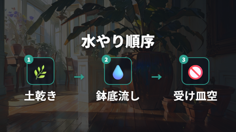 病気を防ぐ育て方の基本は乾かしてから水を与えること