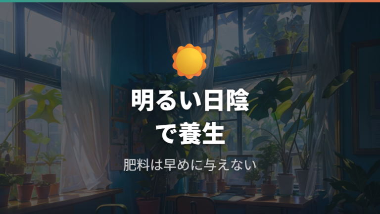 根腐れを防ぐ置き場所と肥料管理を整える