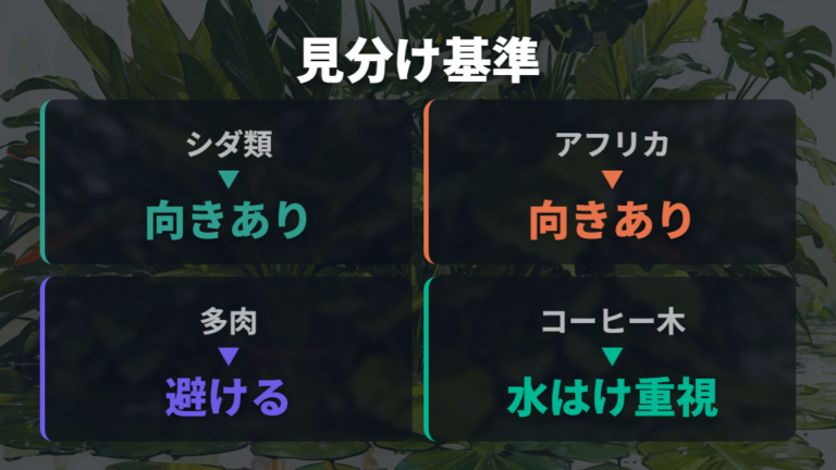 植物名だけでなく鉢の状態で考える