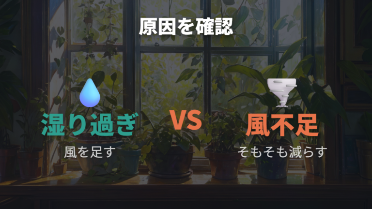 カビや虫を防ぐ管理方法は水分と風通しも重要