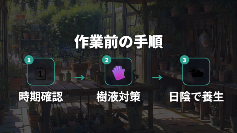 植え替えと剪定で株を整える手順と注意点