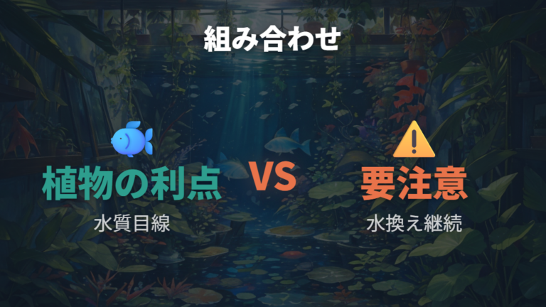 魚の水槽と植物の組み合わせで期待できること