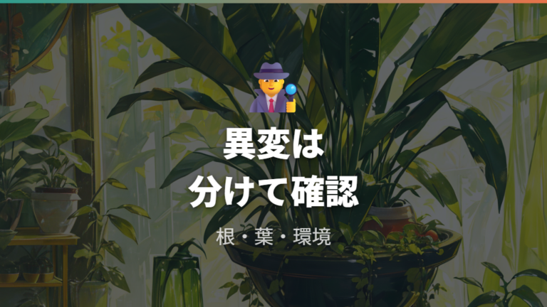 根腐れや葉の異変の対処はサインを分けて確認する
