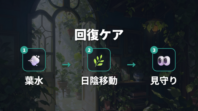 葉水と明るい日陰で回復を助ける日常ケア