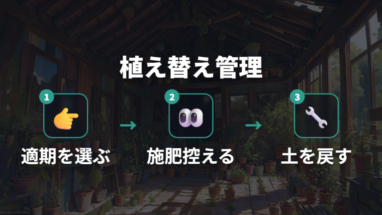 根詰まりなら植え替える前後の管理を整える
