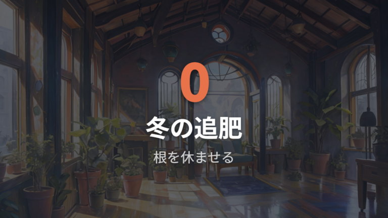 寒い季節に弱らせない育て方は肥料を止めて根を休ませる