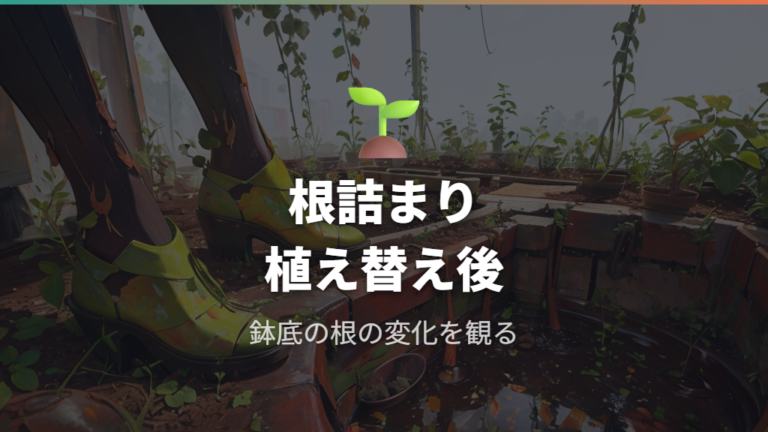 根詰まりや植え替え後のストレスも葉垂れの候補として見る