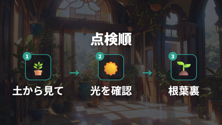 切る前に見る順番