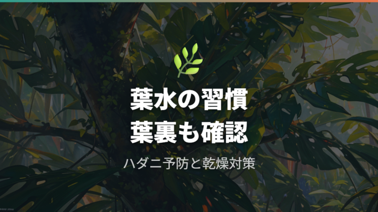 室内での育て方の基本として害虫と葉水を続ける