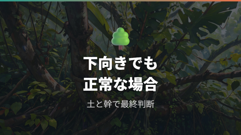 葉が下向きでも異常ではないケースも押さえる