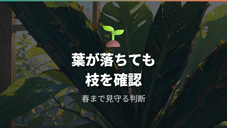 寒さで葉が落ちたらもう枯れたのか