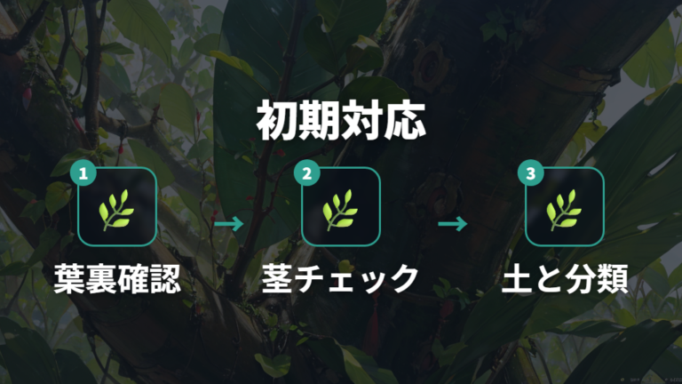 ガジュマルにコバエ以外の虫がいた時の初期対応