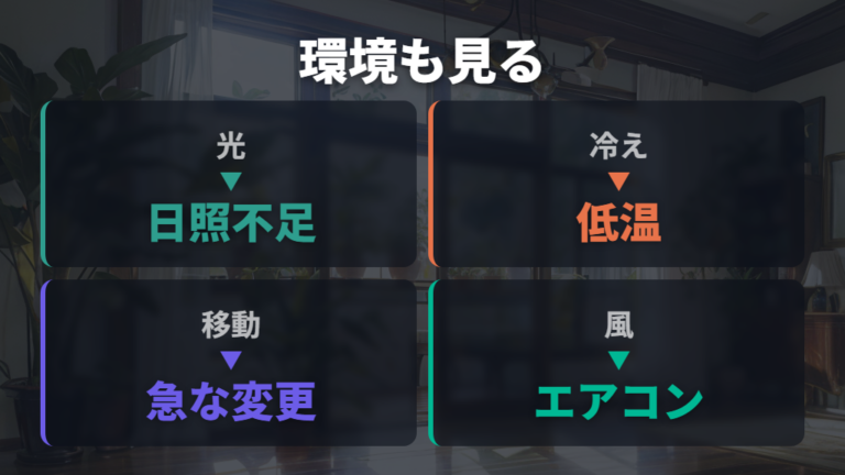 水のやりすぎと根腐れの見分け方で迷う症状は環境も見る