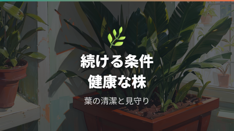 空気清浄効果はどれくらい続くかは健康な株を保てるかで変わる