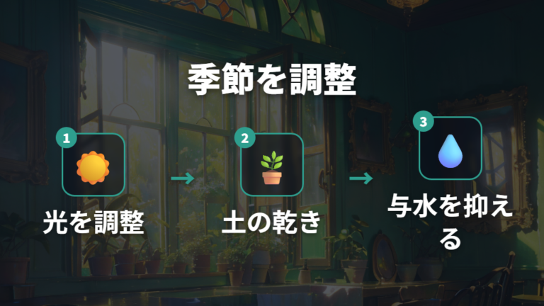 水やりと置き場所の基本は季節でどこまで変える?