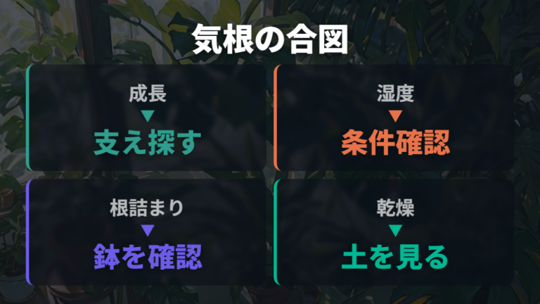 気根が出る理由と環境の関係は元気なサイン？