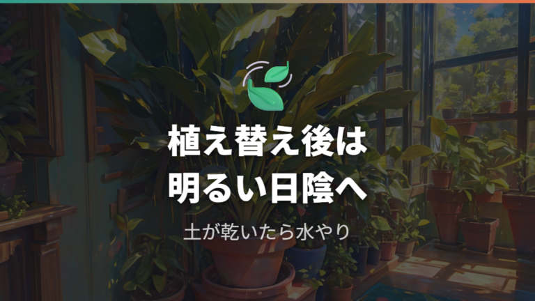 植え替え後の管理方法は水やりと置き場所が要点
