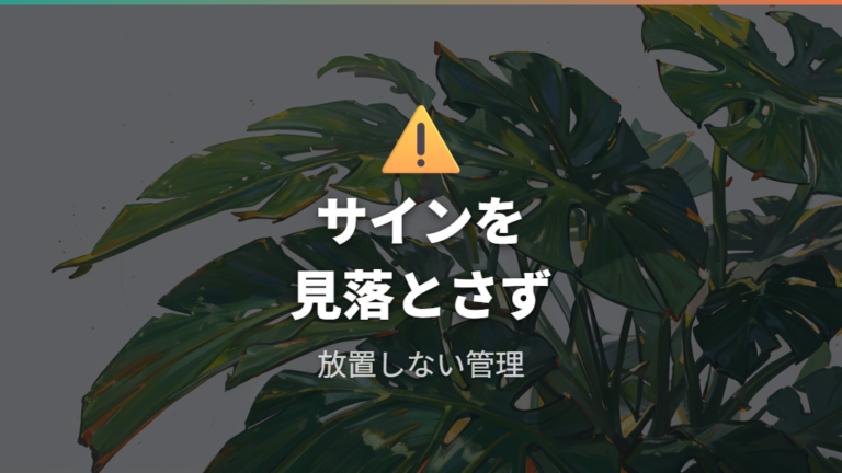 根詰まり時の植え替えサインを放置すると起きる不調