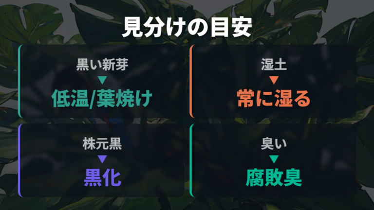 新芽の変色と根腐れの見分け方を整理する