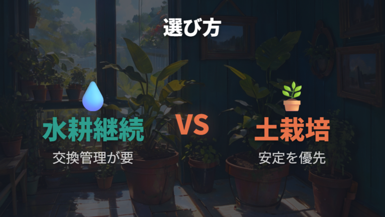 土に戻すか水耕栽培を続けるか迷ったときの判断