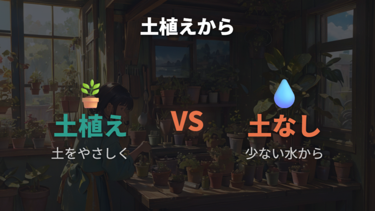 ハイドロカルチャーへの植え替え方は土植えからでも大丈夫?