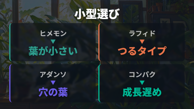 葉が小さめの候補は名前だけでなく分類と特徴を見る