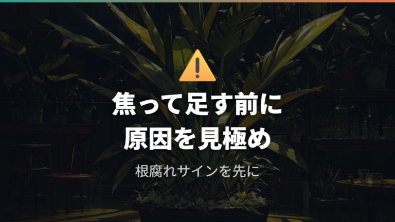 根腐れや葉の異変の対処でやってはいけないこと