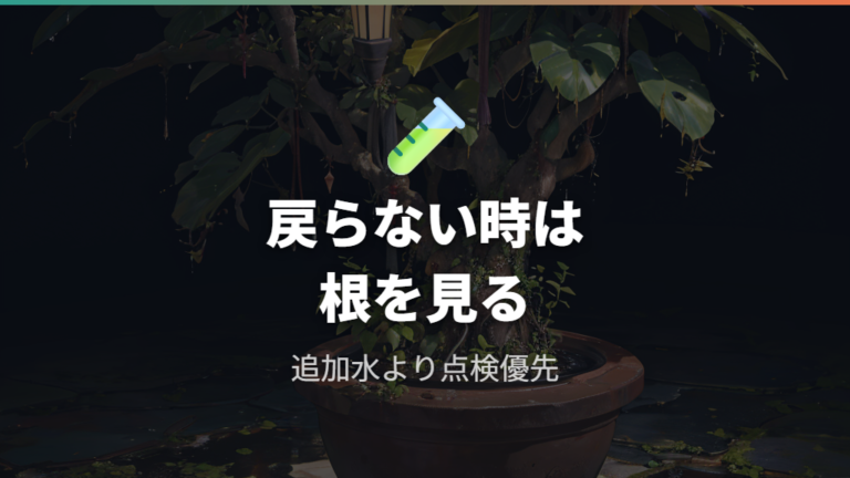 しばらく様子を見ても戻らないときは根腐れや根詰まりを疑う