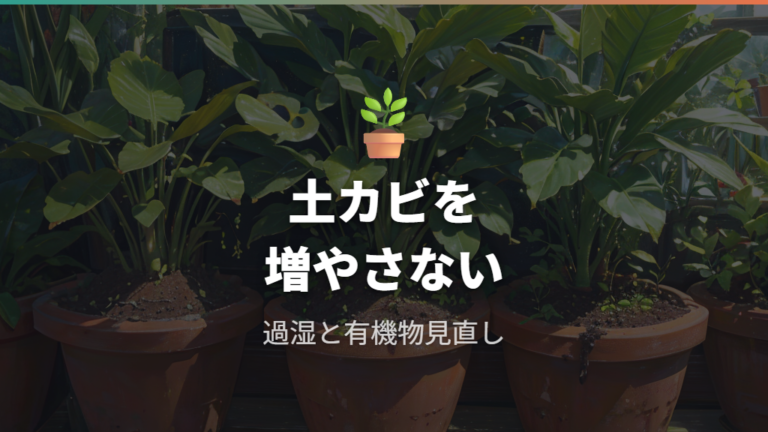 白絹病に似た土カビを増やさない土選び