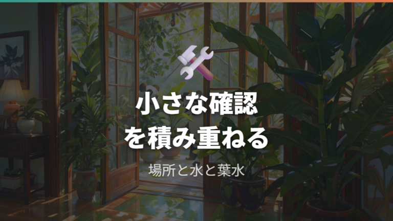 葉を落とさない日常管理は置き場所・水・葉水を整える