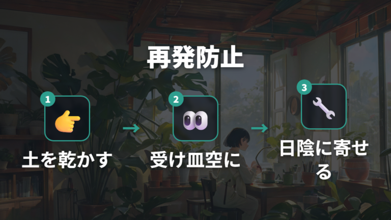 剪定後の再発予防で土と置き場所を見続ける