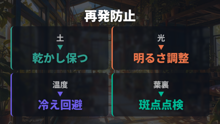 葉が黄色くなる主な原因を再発予防に落とし込む