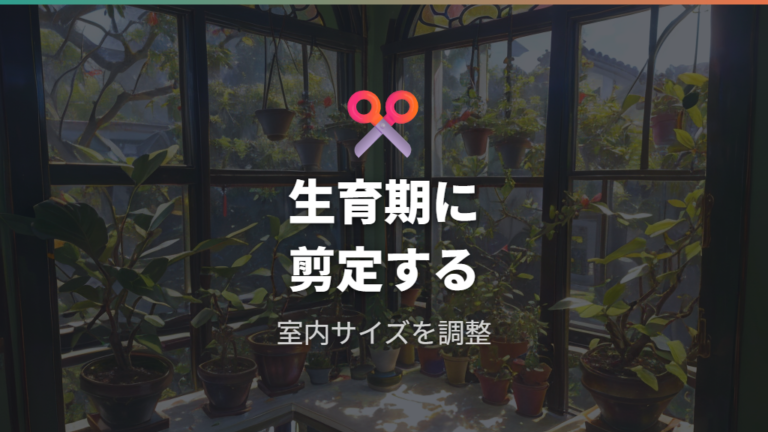 室内で大きさを保つ剪定方法は生育期に行う