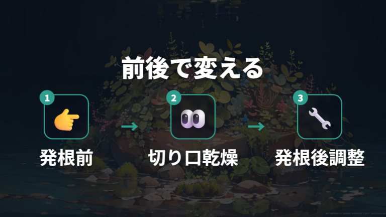 腐らせない水管理のコツを発根前後で変える