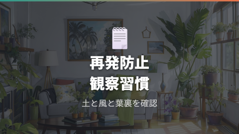 再発を防ぐ日常管理と置き場所の整え方
