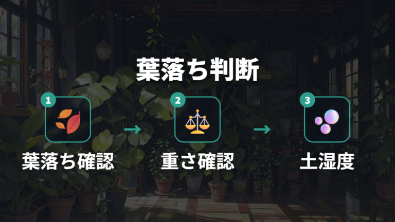 葉落ちは水分と環境の両方から原因を見直す