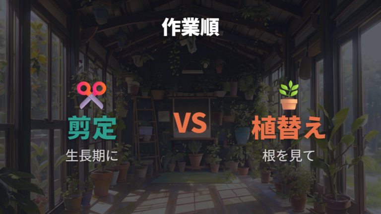 剪定時期と植え替え時期を比べて作業順を決める