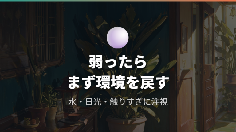 株分けで失敗しない注意点と弱った時の見直し