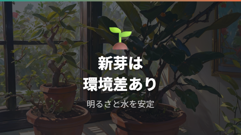 丸坊主剪定後に新芽が出るまでの目安