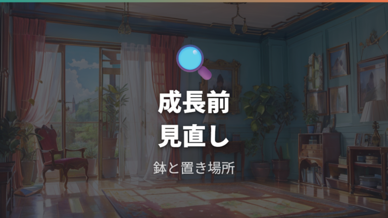 成長期前チェックリストで鉢と置き方を見直す