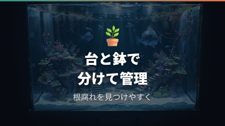 水槽内の台や植木鉢で植物を組み合わせる方法