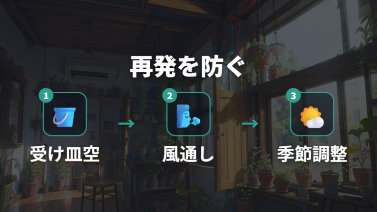 再発を防ぐ管理は水はけと風通しを整える