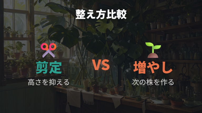 モンステラの最大サイズ目安を超えそうな株は増やし方も選択肢になる
