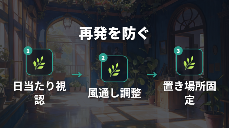 土や水やりを見直して再発しにくい置き場所に整える