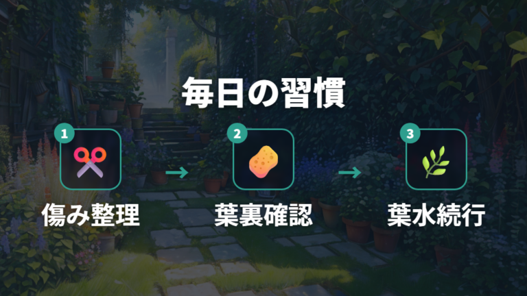色抜けした葉への対処法として剪定と葉水を習慣にする