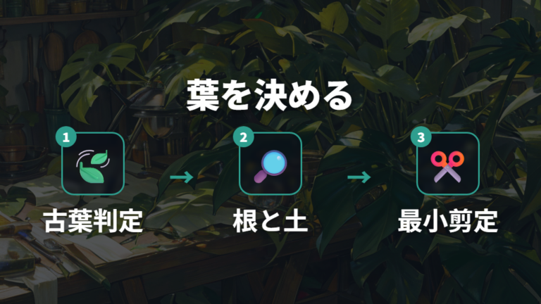 葉を切るかどうかは古葉と株全体で判断する