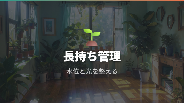 無印の土を使わない植物の仕組みを長持ち管理に生かす